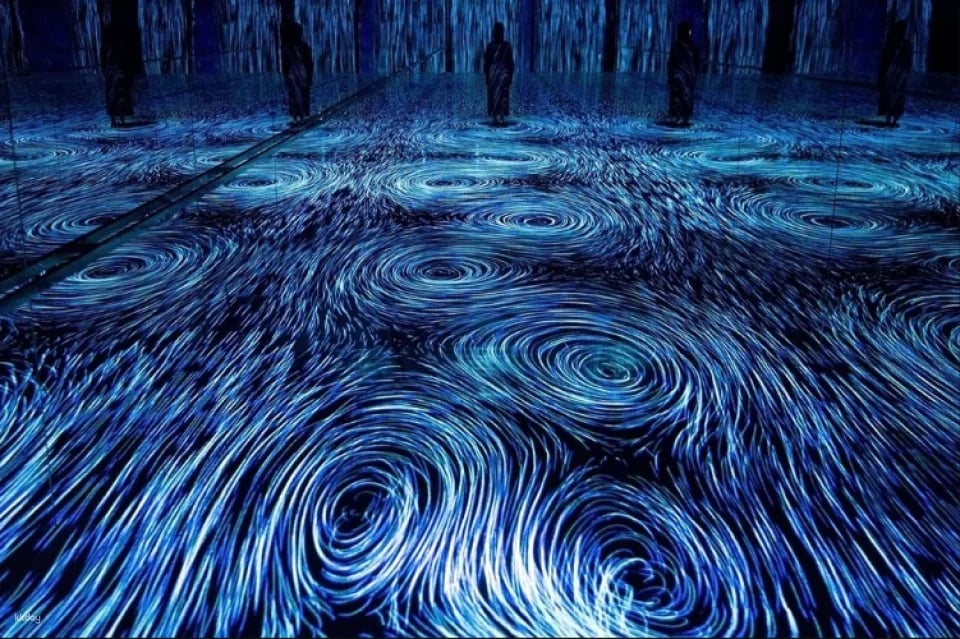 TeamLab Planets TOKYO Ticket