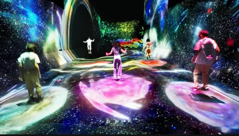 TeamLab Planets TOKYO Ticket