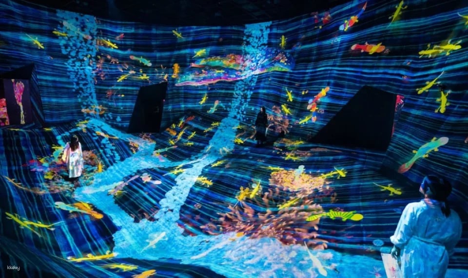 TeamLab Planets TOKYO Ticket