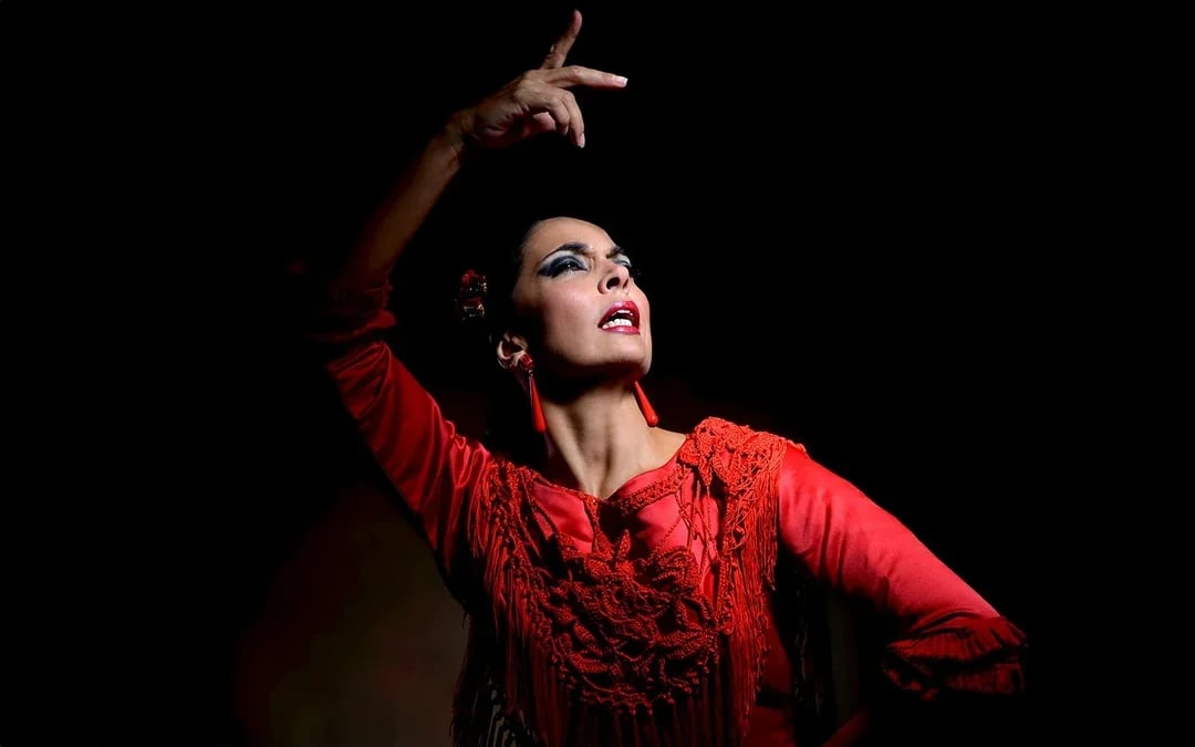 Teatro Flamenco Granada - Sensaciones Show Image 2