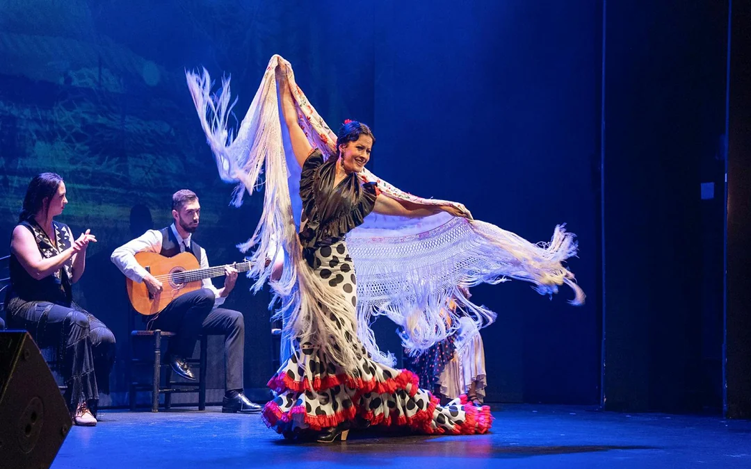 Teatro Flamenco Granada - Sensaciones Show Image 3