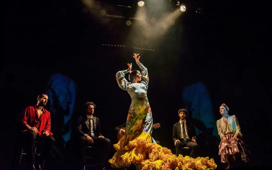 Teatro Flamenco Madrid - Emotions Show Image 2