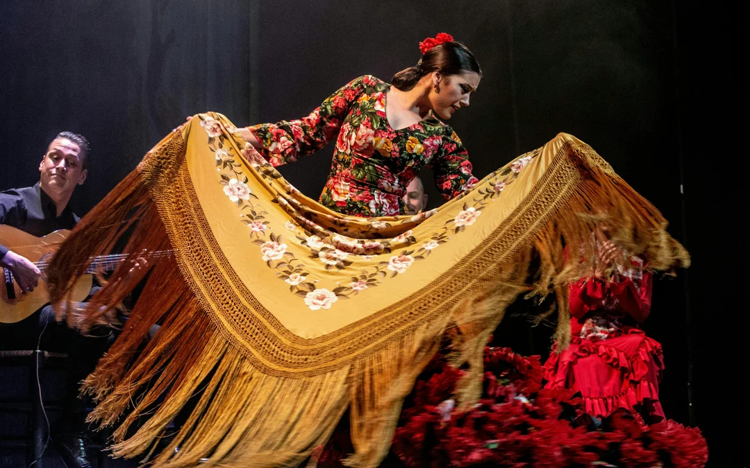 Teatro Flamenco Madrid - Emotions Show Image 3