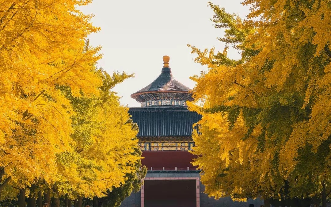 Temple of Heaven Tickets Image 7