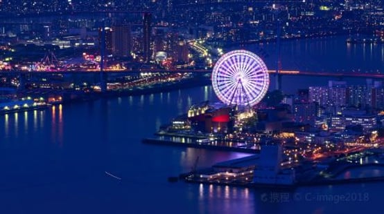 Tempozan Ferris Wheel experience image 3