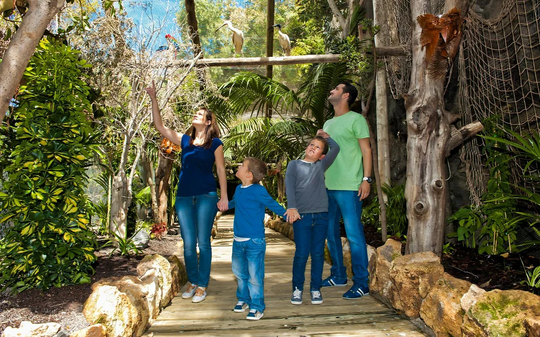 Tenerife Jungle Park Tickets Image 1