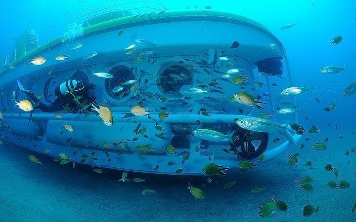 Tenerife Submarine Tour: 1 Hour, No Hotel Pickup Image 1