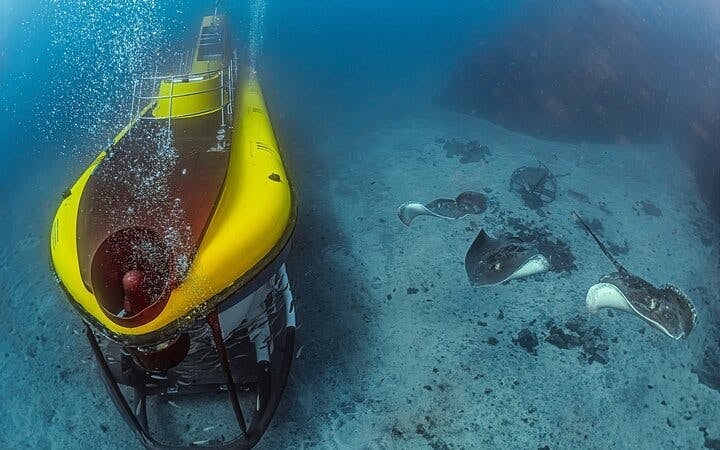 Tenerife Submarine Tour: 1 Hour, No Hotel Pickup Image 5