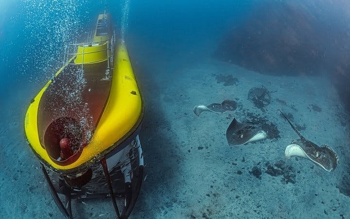 Tenerife Submarine Tour with Los Gigantes Pickup Image 4
