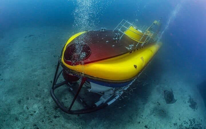 Tenerife Submarine Tour with Los Gigantes Pickup Image 6