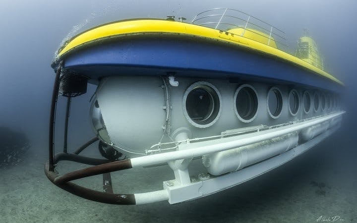 Tenerife Submarine Tour with Los Gigantes Pickup Image 10