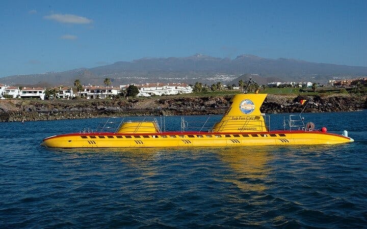 Tenerife Submarine Tour with South Hotel Pickup Image 8