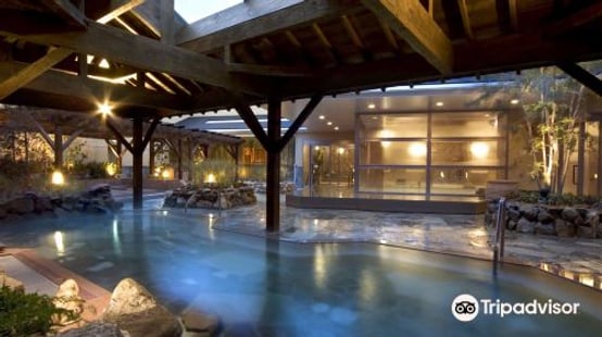 Tennen Onsen Naniwanoyu