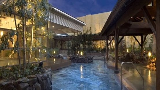 Tennen Onsen Naniwanoyu