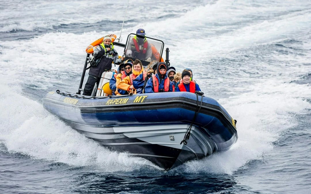 Terceira: Whale Watching Boat Tour Image 5