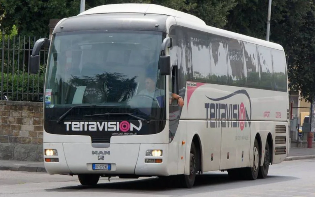 Terravision: One-Way Bus Transfers Between Sabiha Gokcen Airport (SAW) & Fatih/S. Ahmet Ispark
Image 3