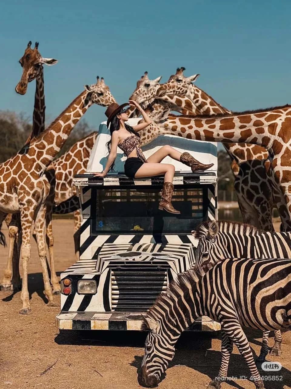 Thailand | Safari Park Kanchanaburi Zoo | Tickets & Jeep Giraffe Photo Experience