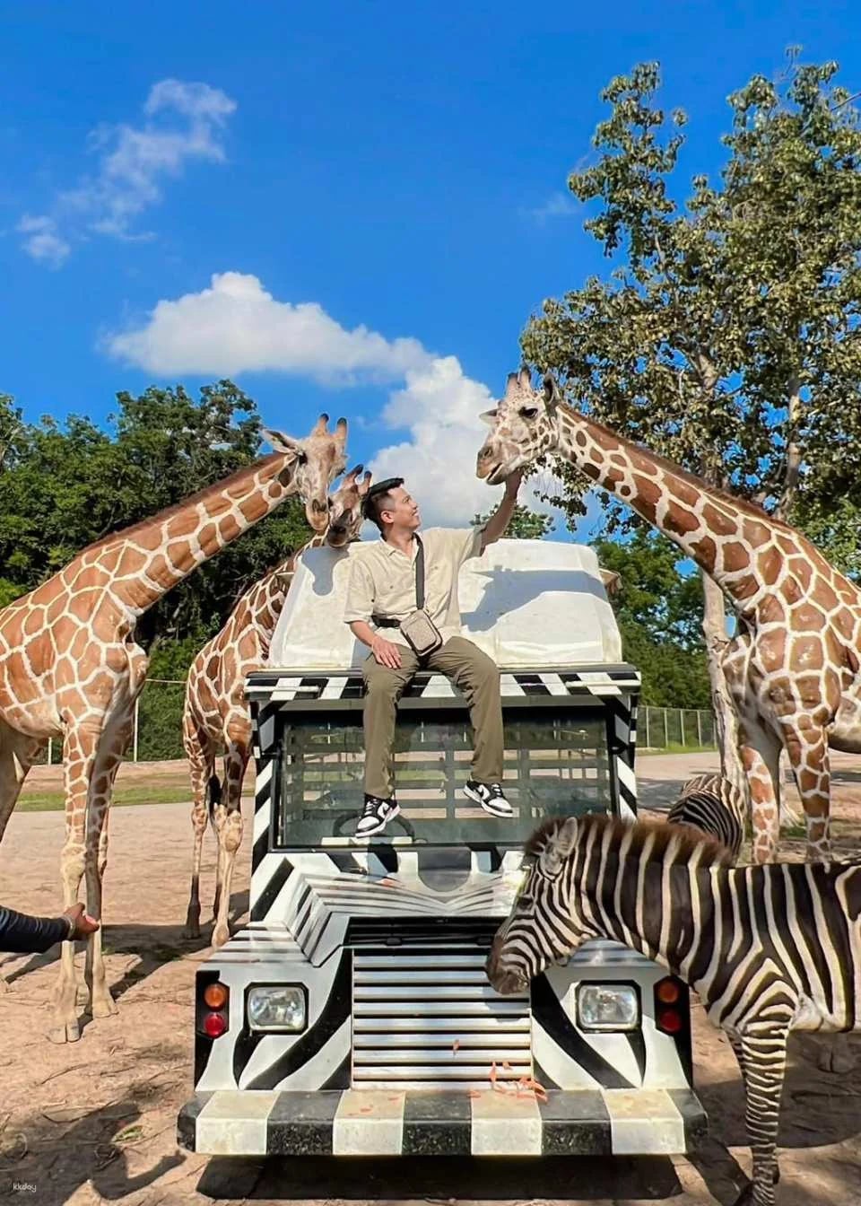 Thailand | Safari Park Kanchanaburi Zoo | Tickets & Jeep Giraffe Photo Experience