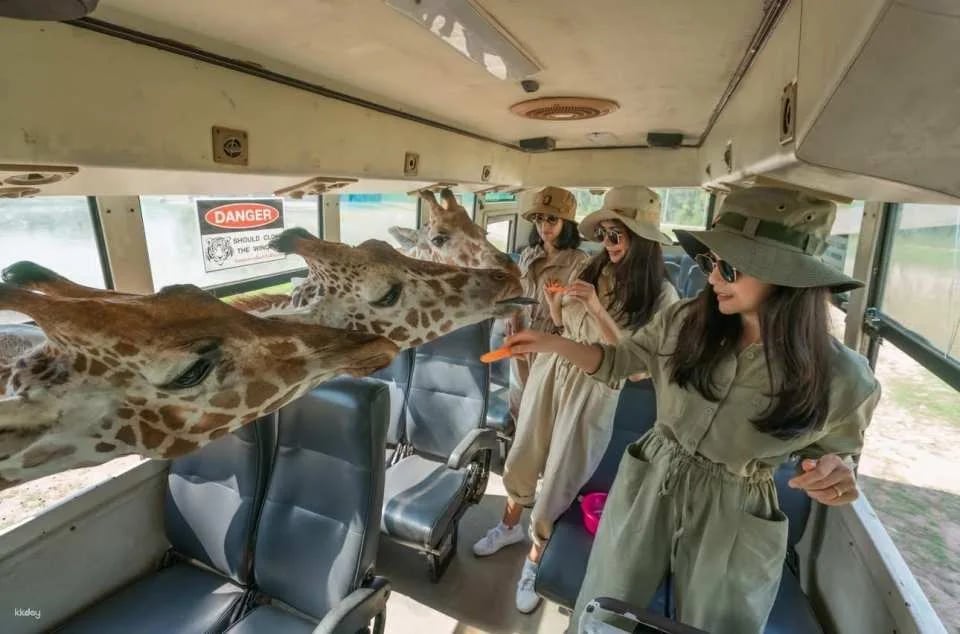 Thailand | Safari Park Kanchanaburi Zoo | Tickets & Jeep Giraffe Photo Experience