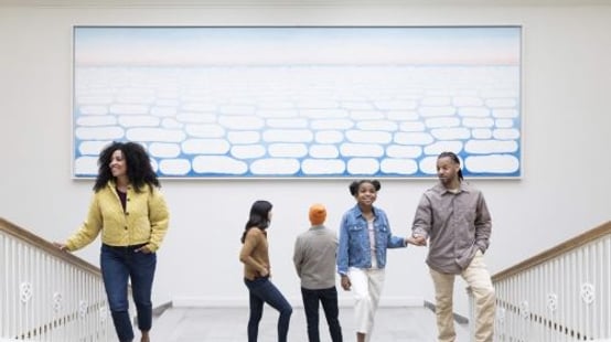 The Art Institute of Chicago