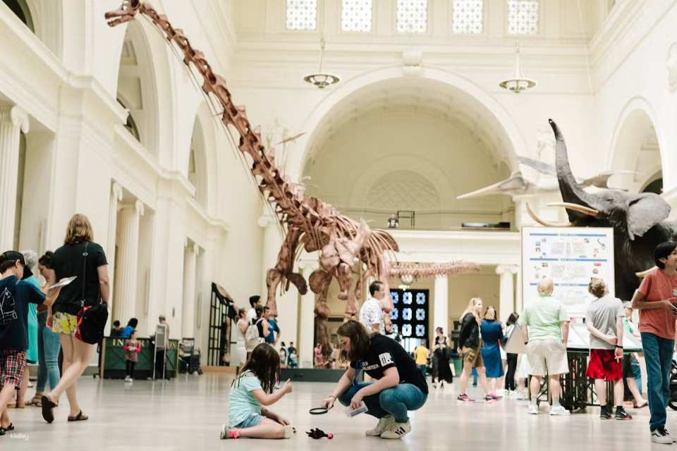 The Field Museum of Natural History |  Chicago