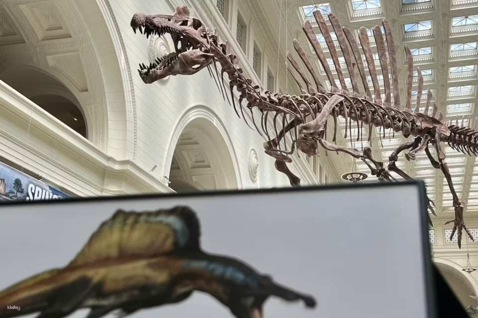 The Field Museum of Natural History |  Chicago