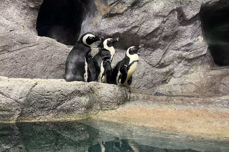 The Florida Aquarium Ticket | Florida