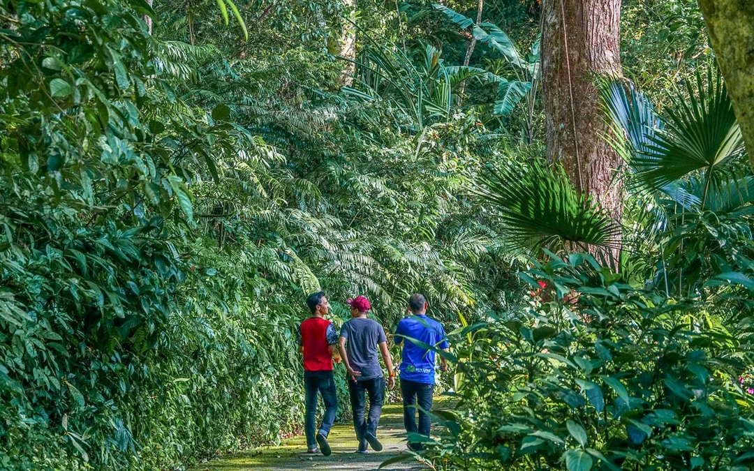 The Habitat Penang Hill Tickets Image 3