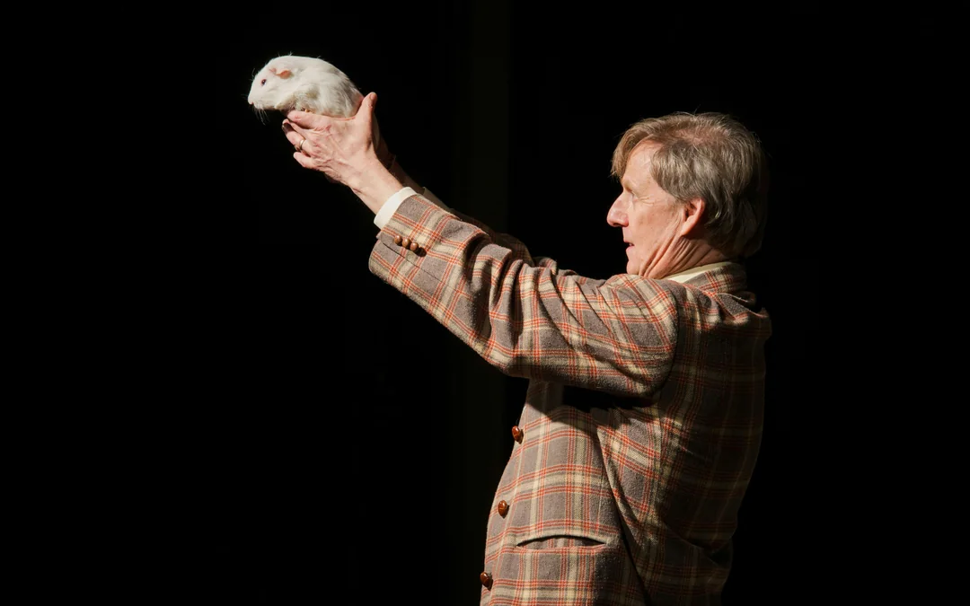 The Mac King Comedy Magic Show Image 4