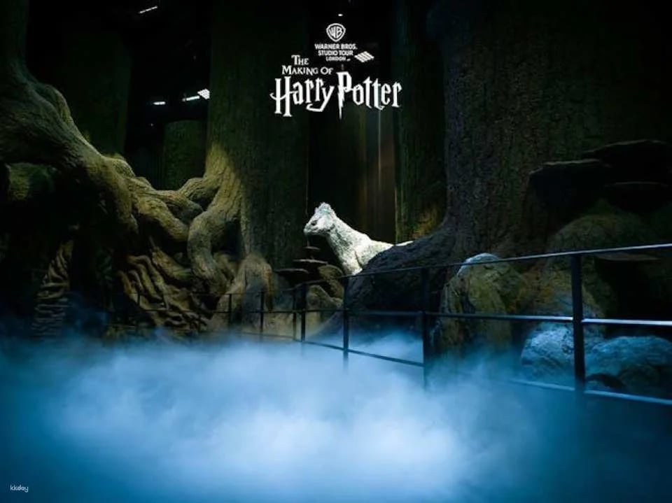 The Making of Harry Potter Entry Ticket with Escorted Train Transfer