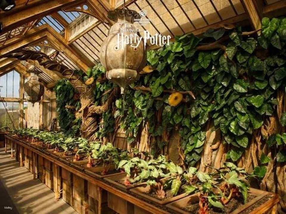 The Making of Harry Potter Entry Ticket with Escorted Train Transfer