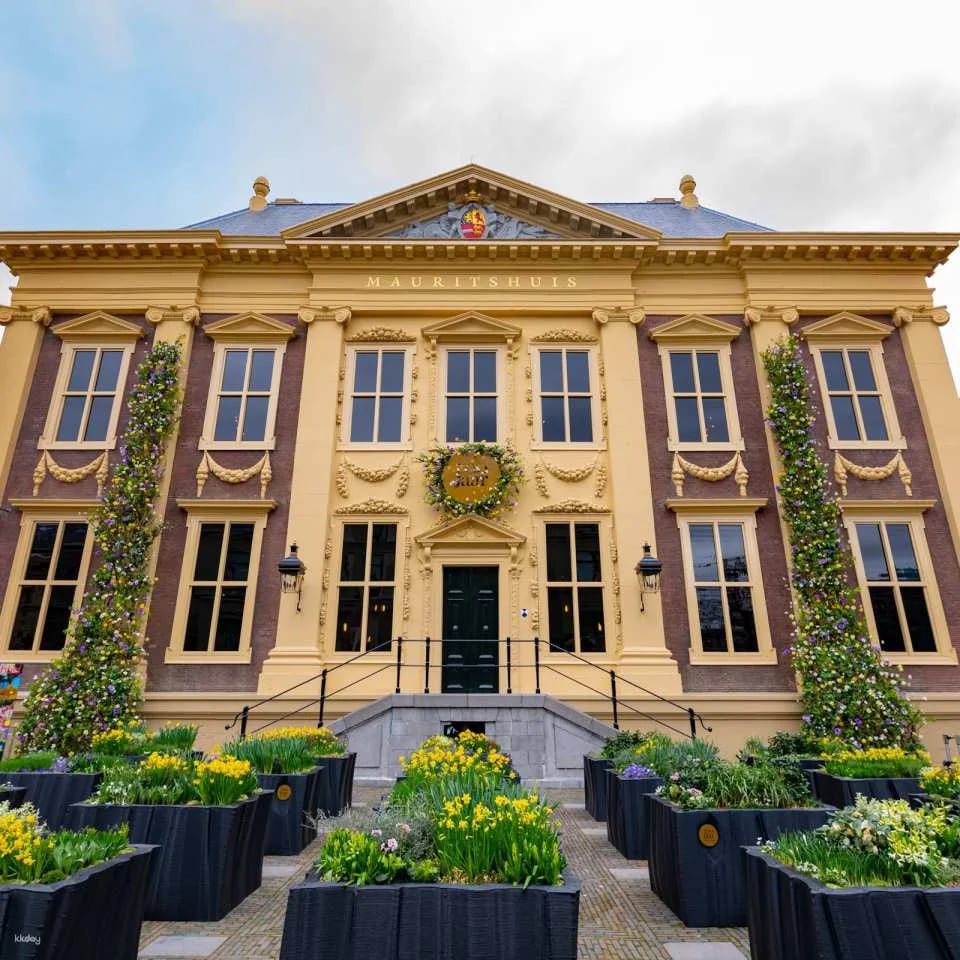 The Mauritshuis Museum Ticket