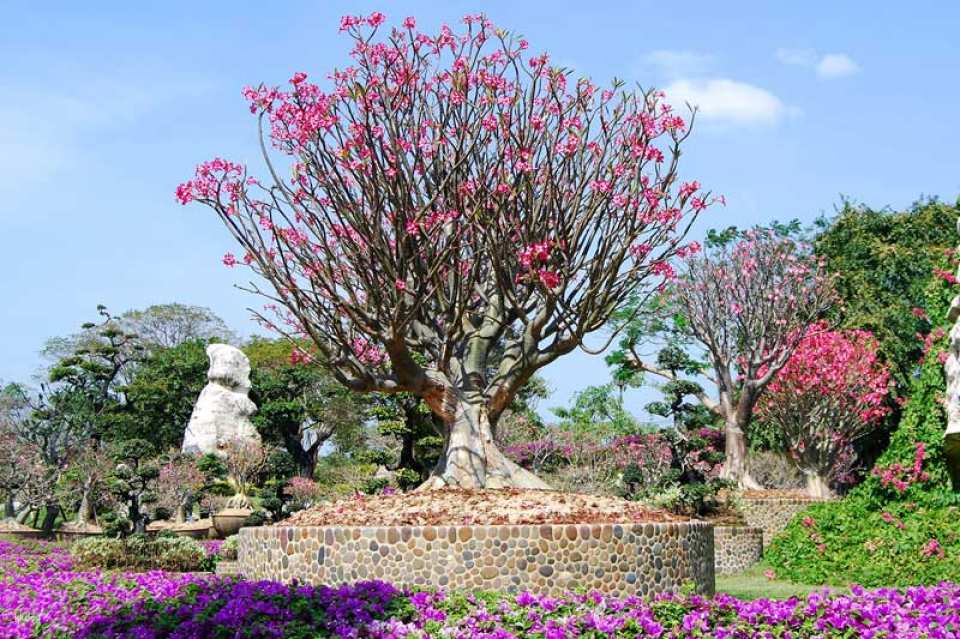 The Million Years Stone Park & Pattaya Crocodile Farm Admission Ticket | Thailand