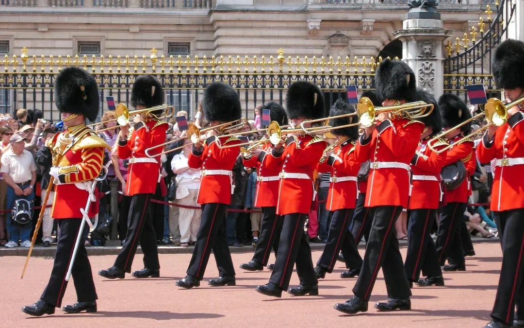 The Royal Mews at Buckingham Palace Tickets Image 11