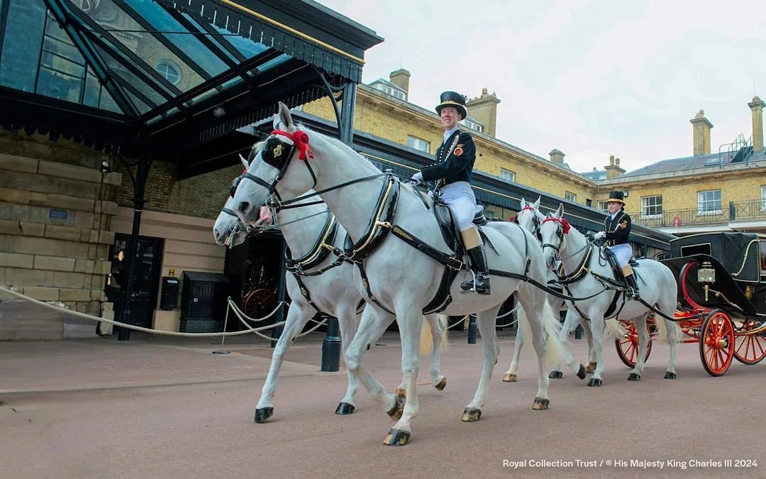 The Royal Mews at Buckingham Palace Tickets Image 8