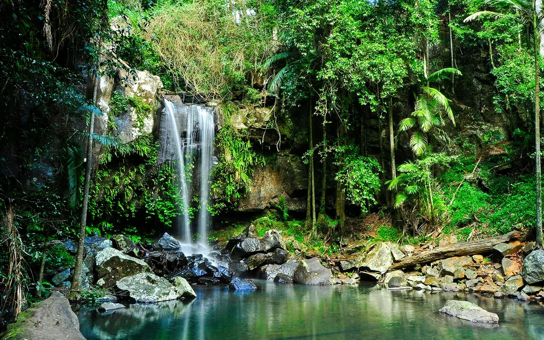 The Tastes of Tamborine Mountain Image 9