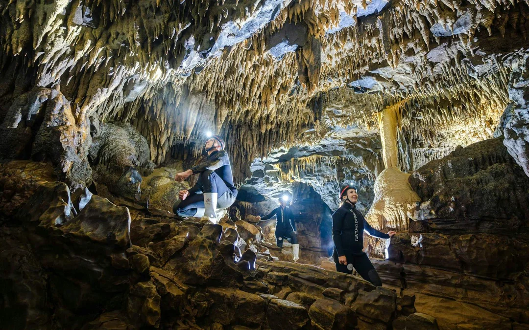 The Waitomo Experience : Okohua Glowworm Cave Tour Image 12
