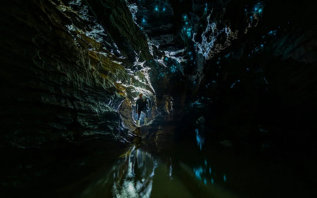 The Waitomo Experience : Okohua Glowworm Cave Tour Image 4