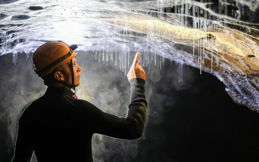 The Waitomo Experience : Okohua Glowworm Cave Tour Image 5