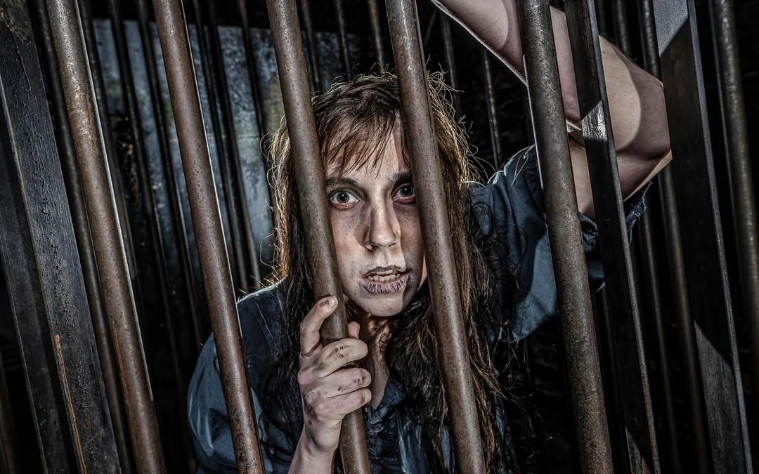 The York Dungeon Entry Tickets Image 12