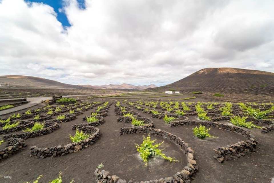 Three-hour trike grand tour in Lanzarote