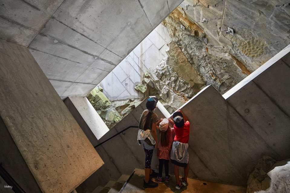 Ticket Glacier Garden Lucerne