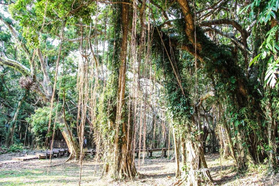 Tickets for Kenting National Forest Recreation Area & Eluanbi Park, Pingtung