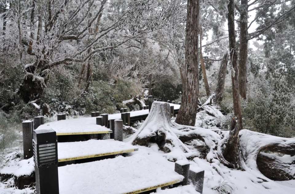 Tickets for Taipingshan National Forest Recreation Area, Yilan