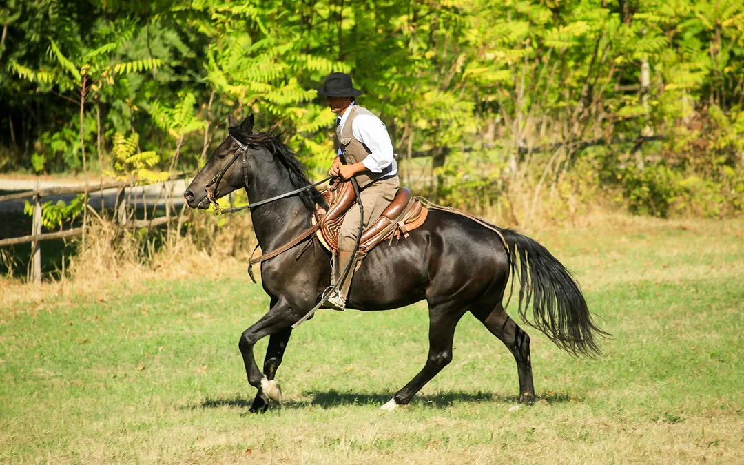 Tickets to 1.5-Hour Horseback Riding Experience from Siena Image 1