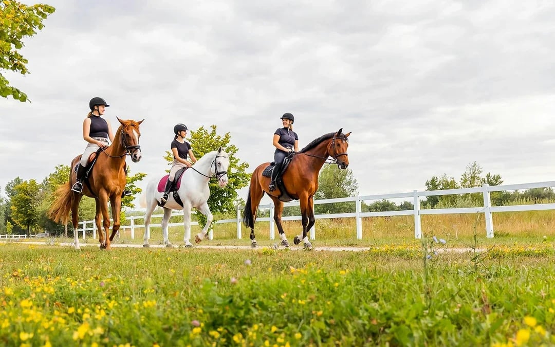 Tickets to 1.5-Hour Horseback Riding Experience from Siena Image 2