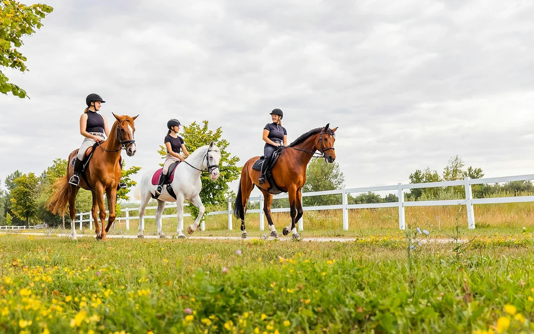 Tickets to 1.5-Hour Horseback Riding Experience from Siena Image 2