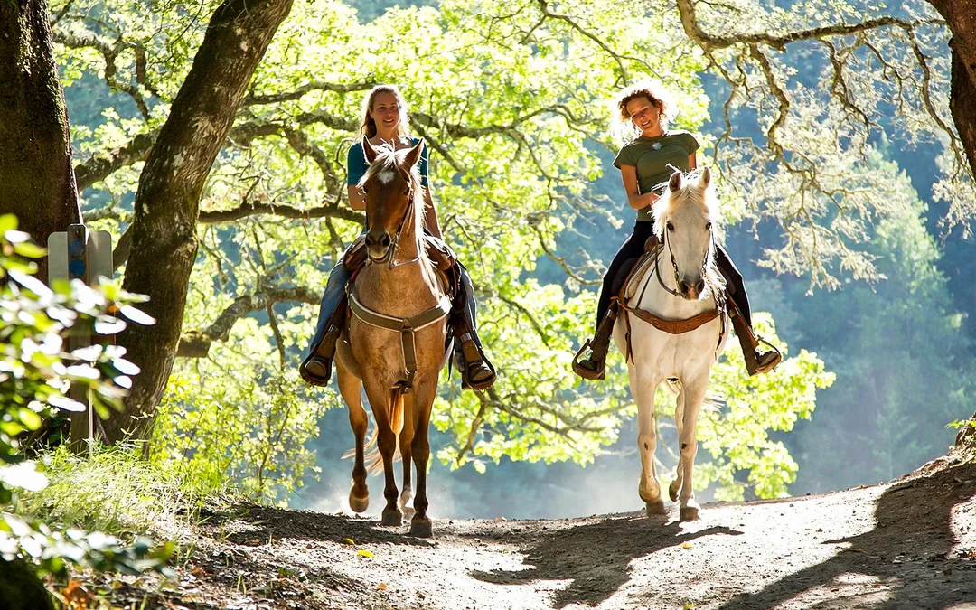 Tickets to 1.5-Hour Horseback Riding Experience from Siena Image 3
