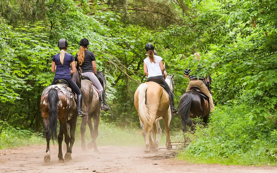 Tickets to 1.5-Hour Horseback Riding Experience from Siena Image 4