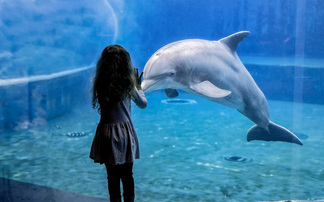 Tickets to Genoa Aquarium with Lunch Image 3